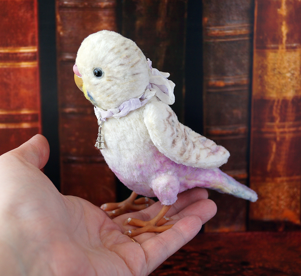 Budgerigar named Paris