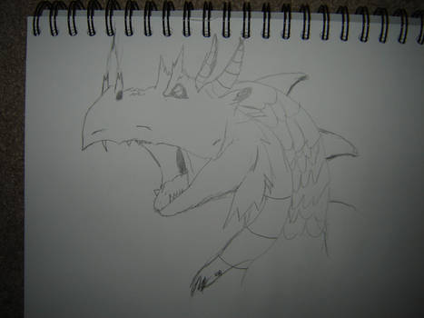 Dragon Sketch