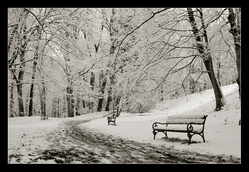 Snow Tranquility