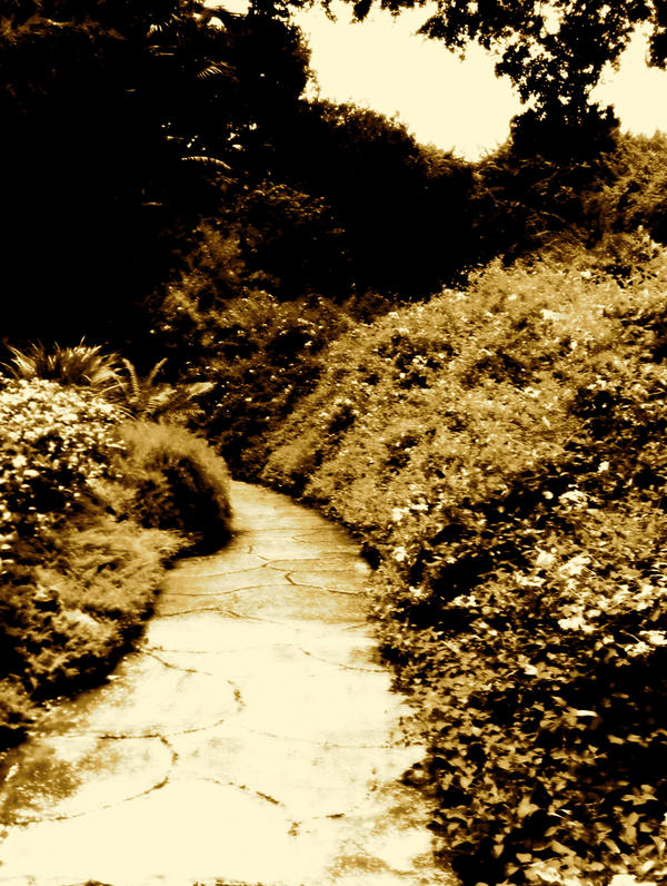 path not taken by chilledsouped on DeviantArt