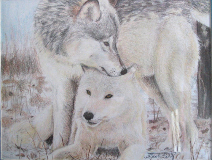 Wolves by Dragonsfire867 on DeviantArt