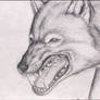 Snarling Wolf