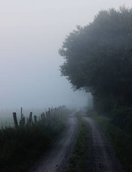 Misty Path