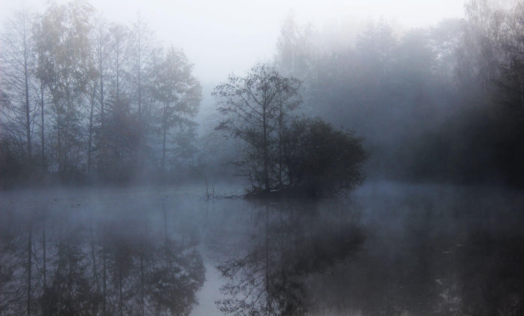 Foggy Waterscape