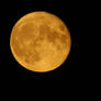 Fullmoon August 2020