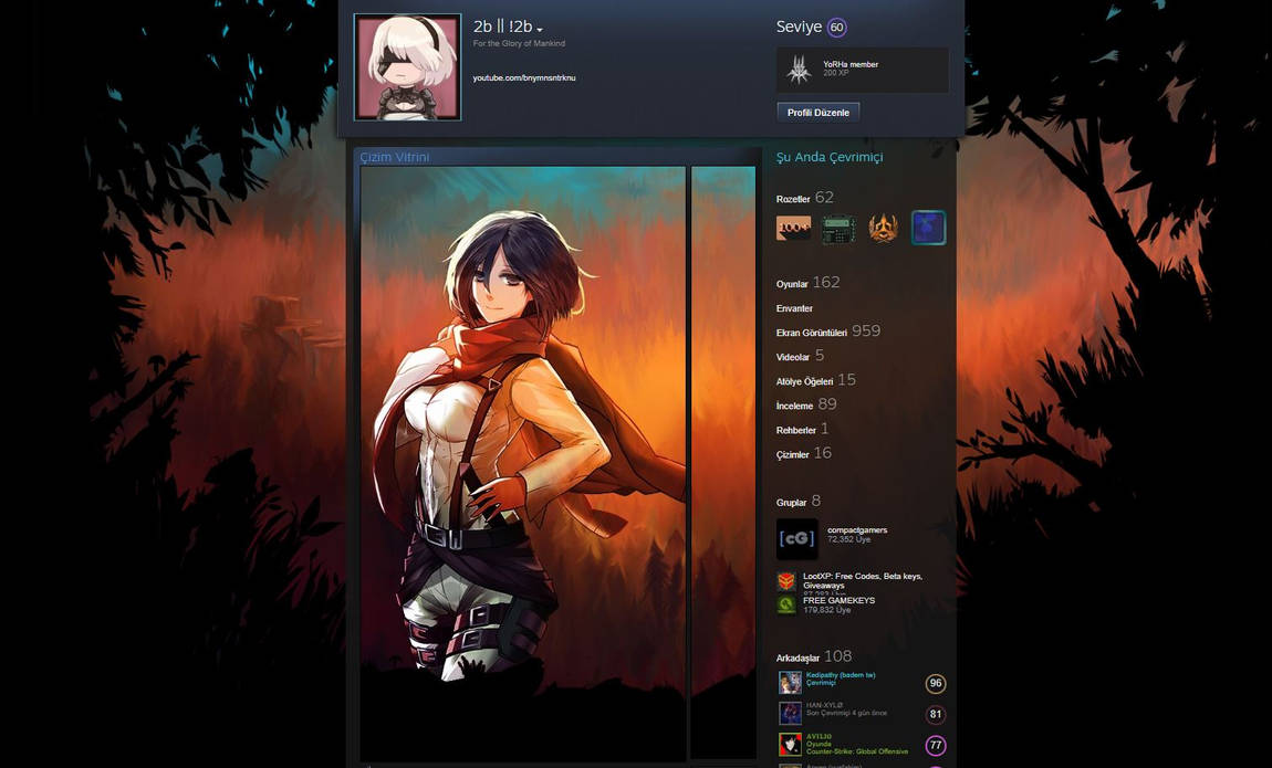 Mikasa Steam Profile Background By Bnymnsntrk On Deviantart