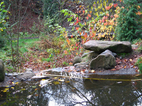 Pond 3