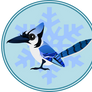 Blue jay