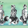 Comm: Ref Sheet Snow Leopard