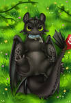 Weekly Cute: Toothless by pridark Weekly Cute: Toothless by pridark