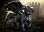 Comm: Tempest Knight by pridark