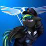 Comm: General