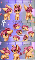 Ref Sheet: Filly Genesis