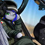 Comm: Rescue Pilot