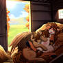 Cozy Morning