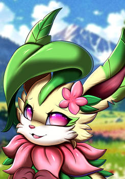 Clover