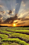 More Than A Sunset by dianar87