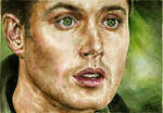 Jensen by staseykinney