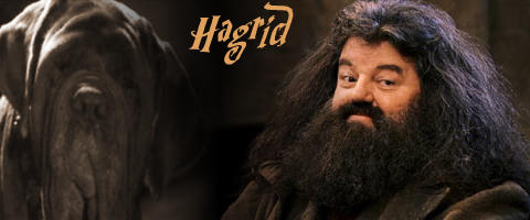 Hagrid