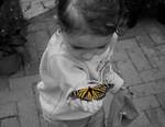 monarch in color by prettyflour