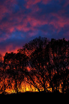 Tri-Colored Sky