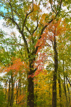 In October