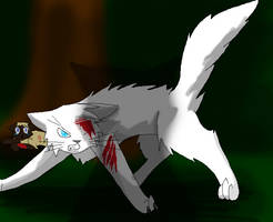 A true ShadowClan warrior