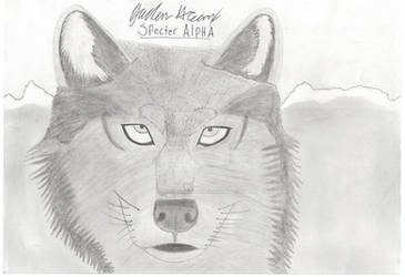 The beauty of Wolves