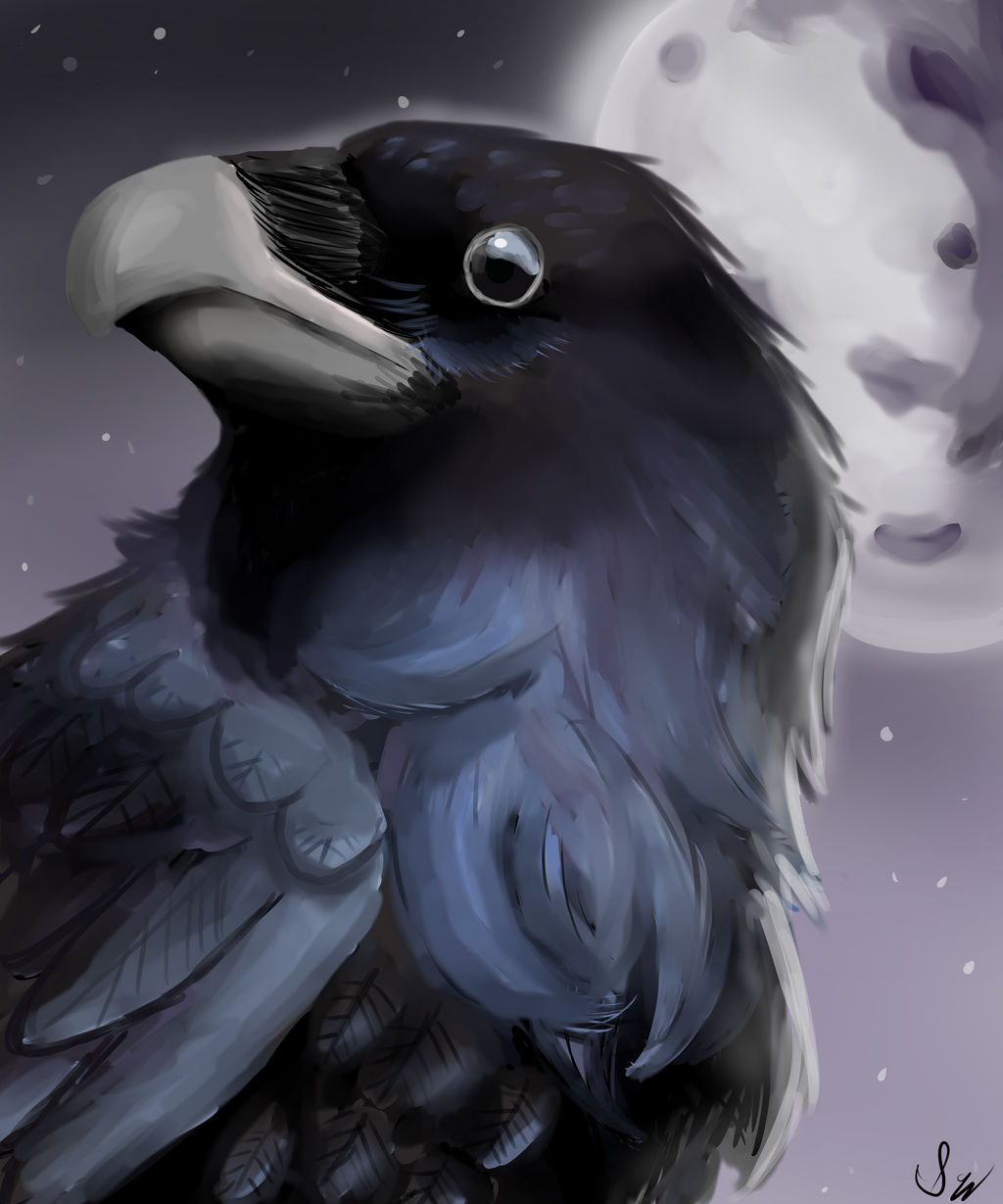 Raven by Voidception on DeviantArt