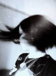 rush. by b2spiritcat