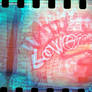 35mm love