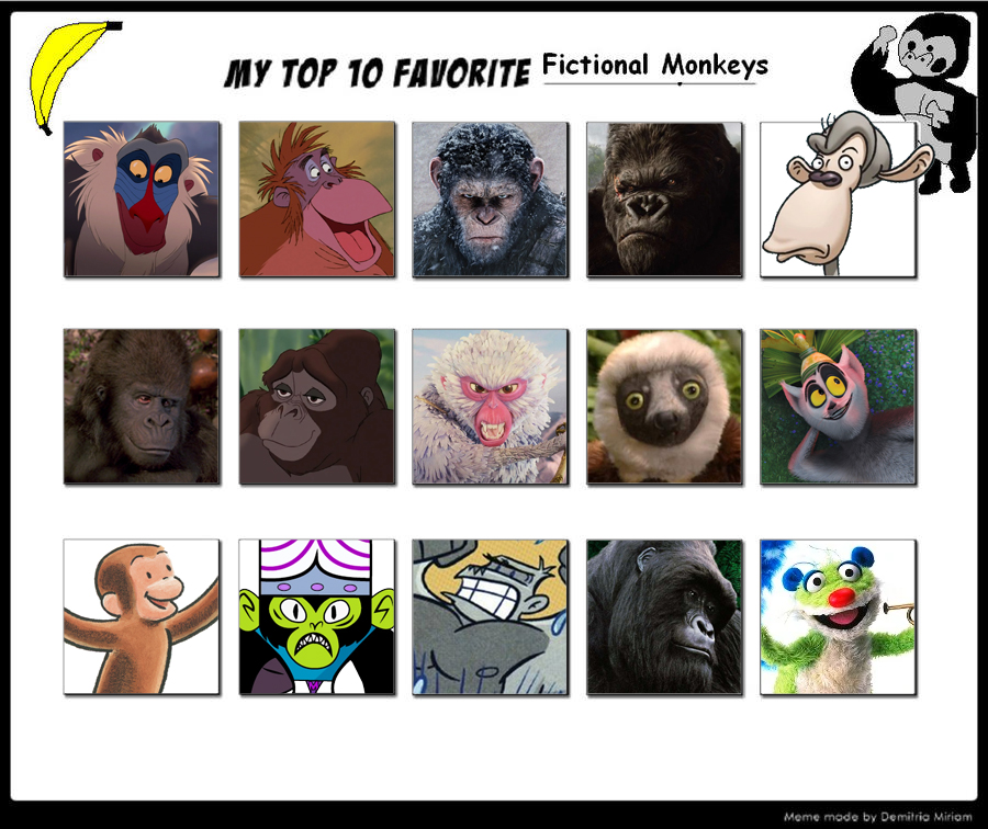 Primated Deviantart My Top 15 Favorite Primates by Ezmanify on DeviantArt