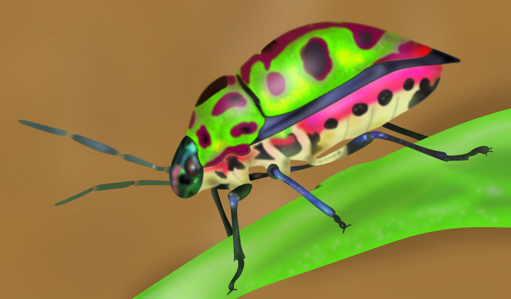 Long Buggin What's Buggin? by bdayband on DeviantArt