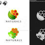 Logo-12 - Naturals-Logo