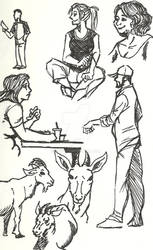 Cafe drawings 2