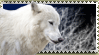 Snow Wolf Stamp for Kayla