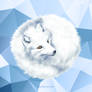 Arctic Fox