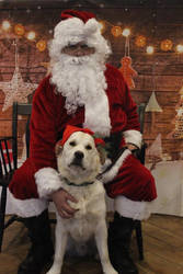 Bodhi and Santa