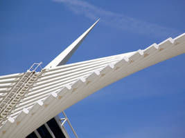 Calatrava's Wings