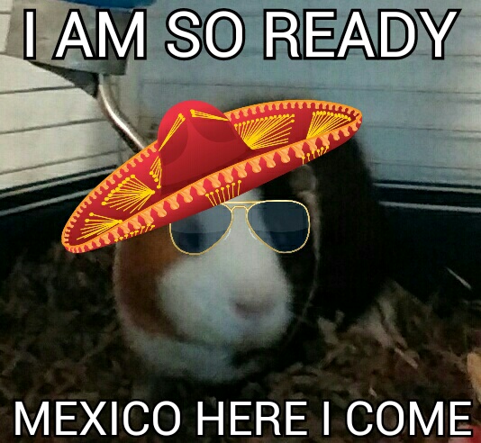 I'm going to Mexico baby