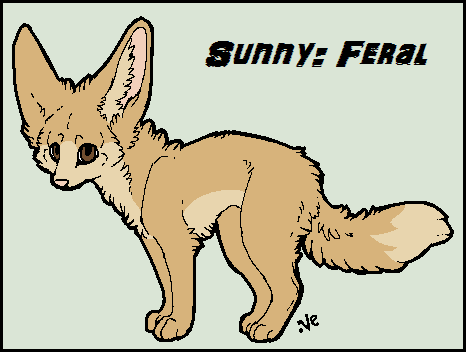 Sunny: Feral
