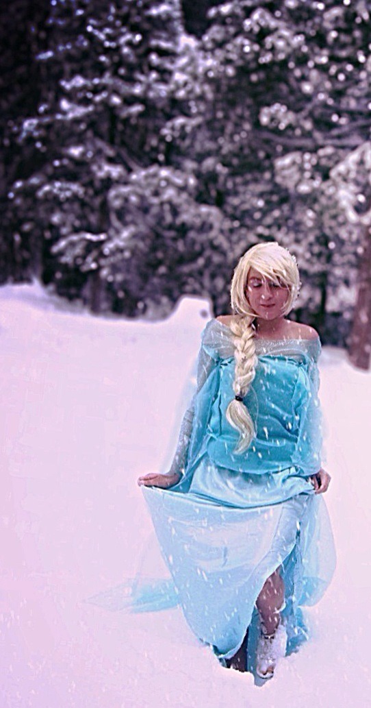 Elsa the snow queen