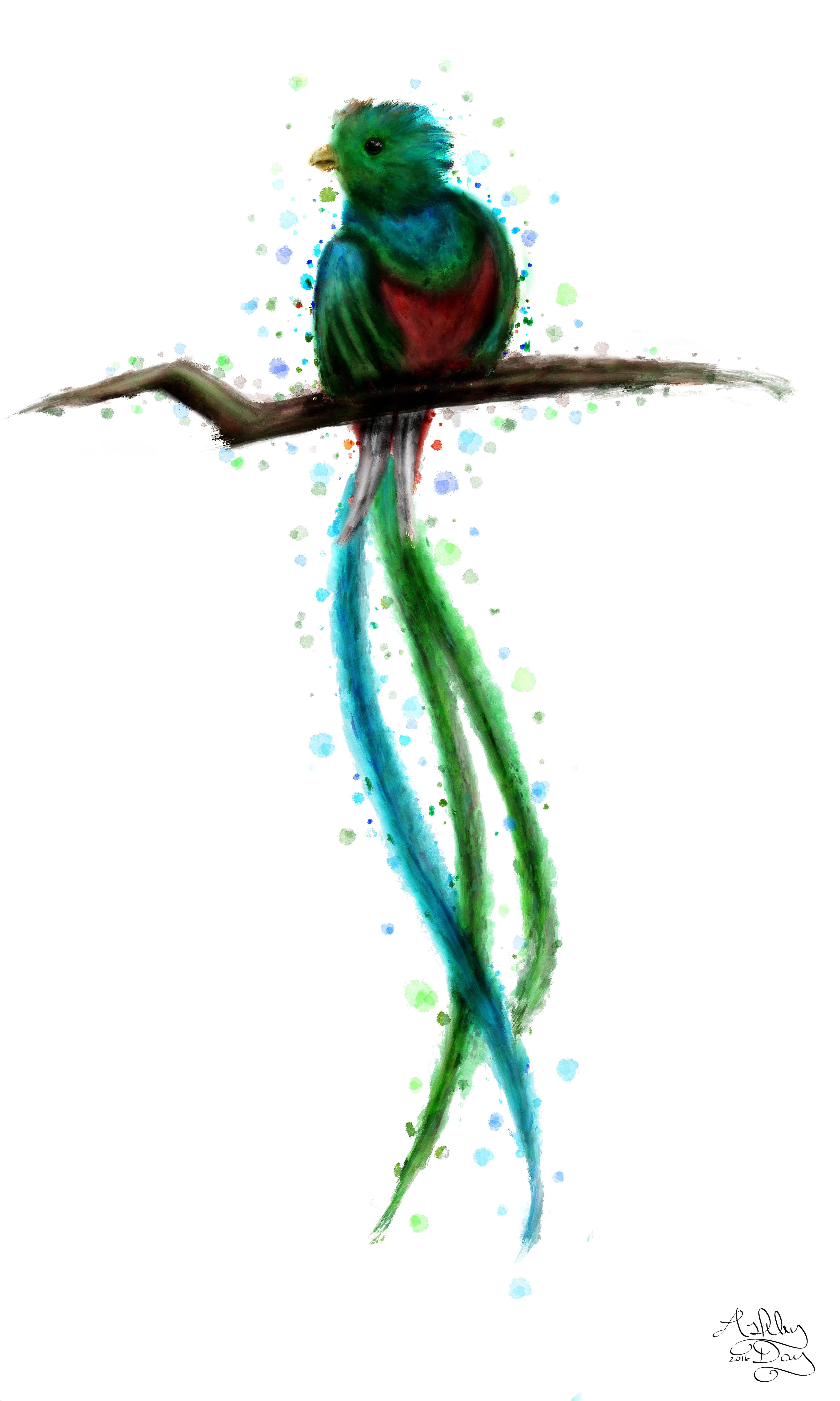 Quetzal 1, Finished and lightened