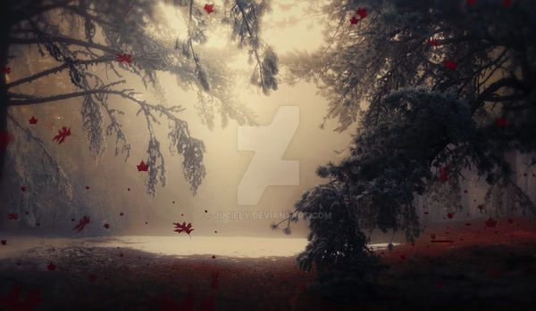 Forest magic premade