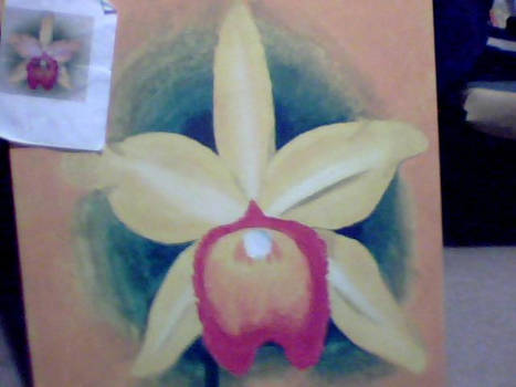 my orchid