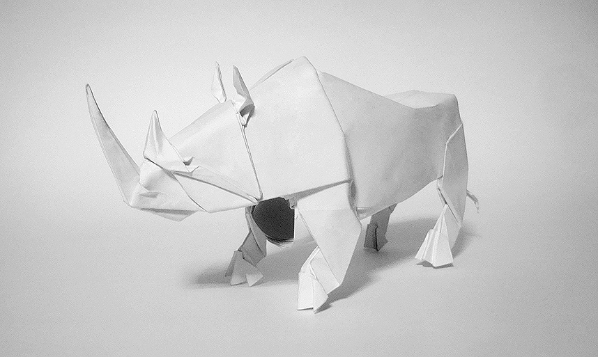 Rhinoceros