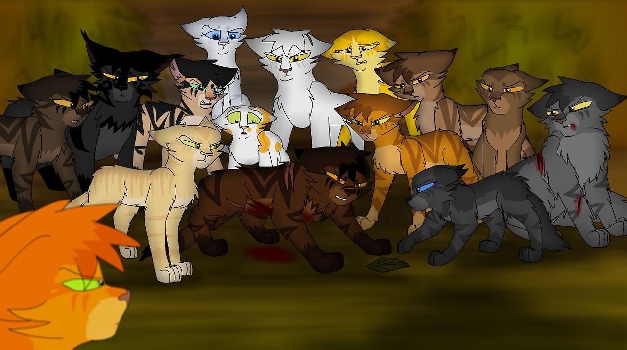 Warriors: Tigerstar/Tigerclaw by Marshcold on DeviantArt