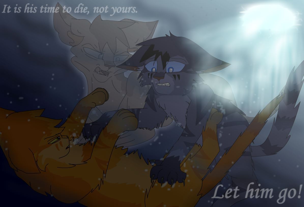 The Jayfeather Scene that EVERYONE Missed