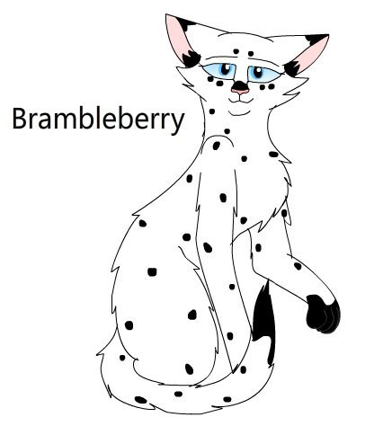 Brambleberry, Warriors Wiki