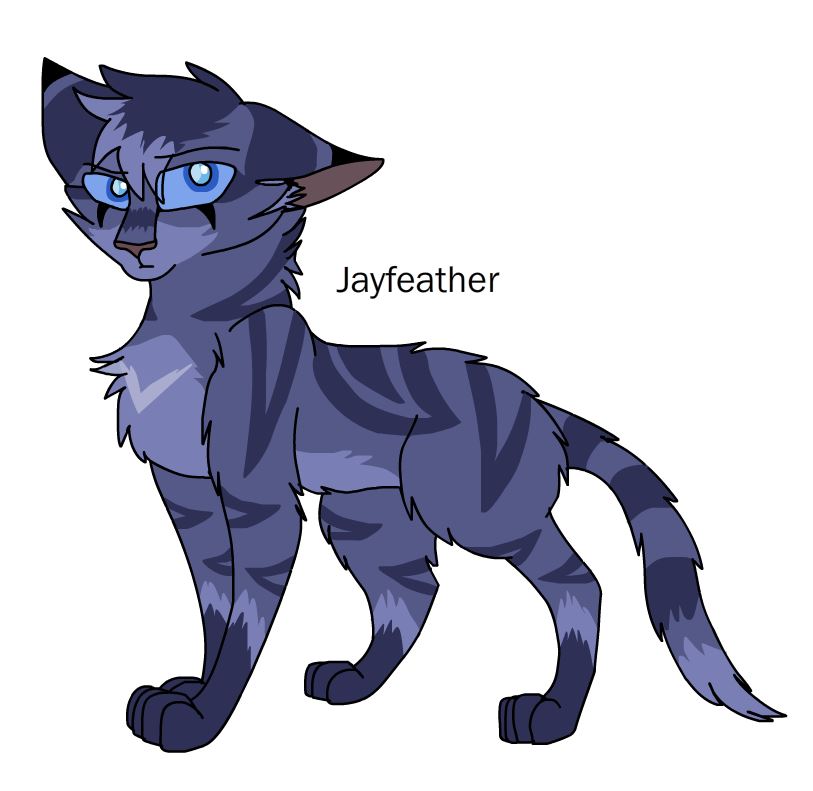 Jayfeather, Warriors Wiki